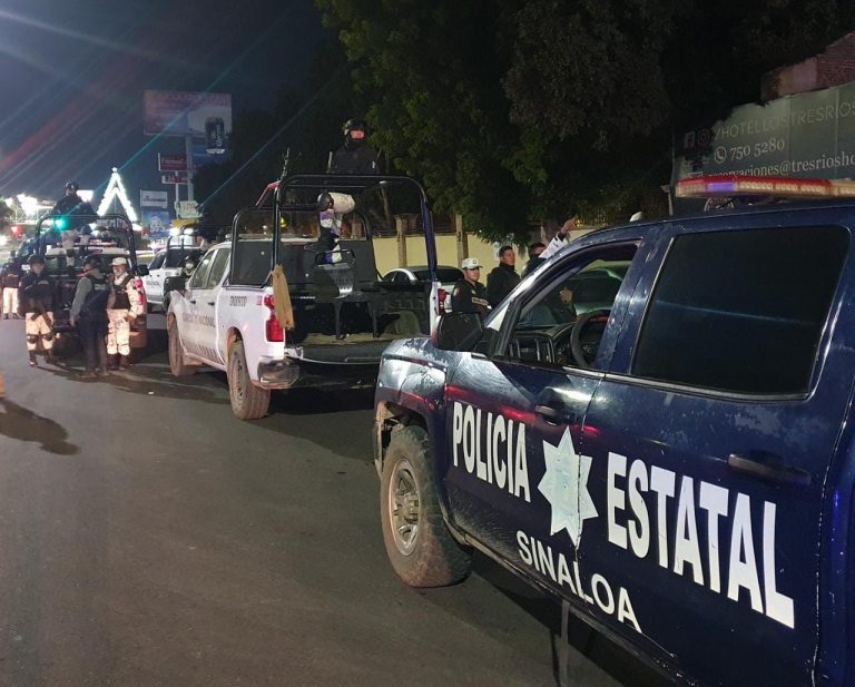 Aseguran arma durante operativo bares y cantinas