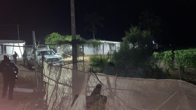 Asesinan a niña de 7 años en campo agrícola de Navolato