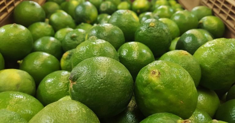 Pasa precio del limón de los $40 a $80 por kilo