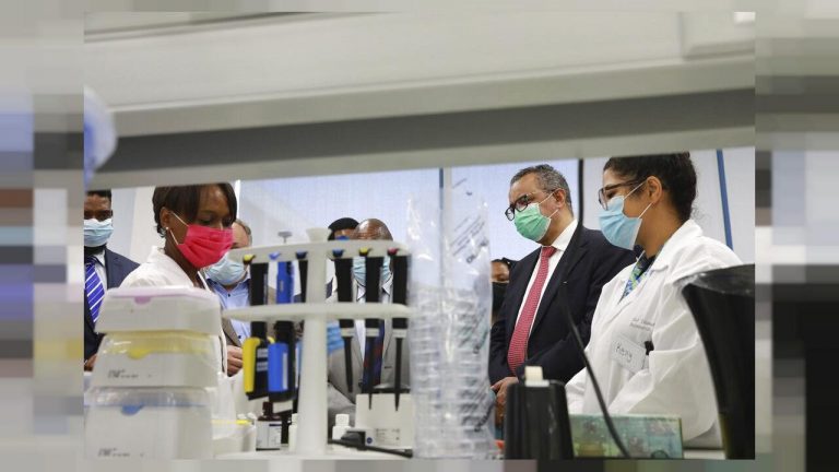 Fase aguda de la pandemia terminará en verano: OMS