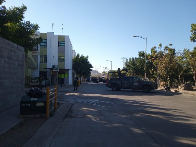 Realiza Ejército operativo en Alturas del Sur