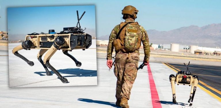 Vigilan perros robot de EU la frontera