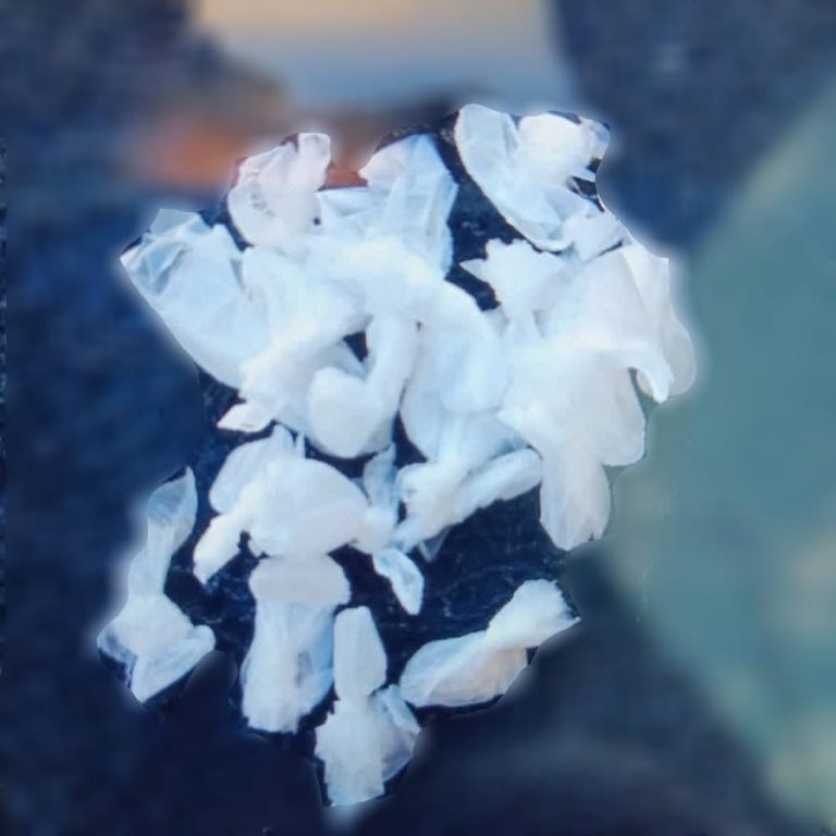 Cae con 21 bolsitas; presumen cocaína