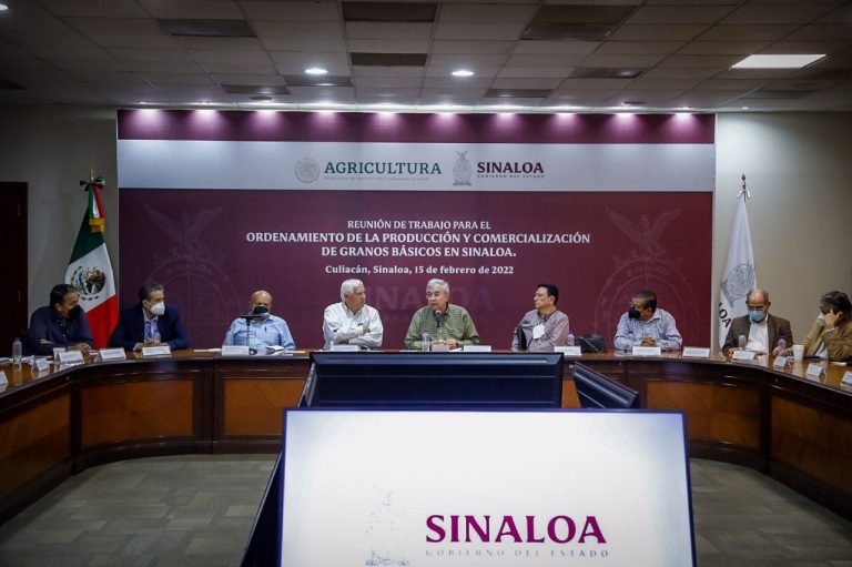 Anuncian bases de comercialización de maíz y trigo
