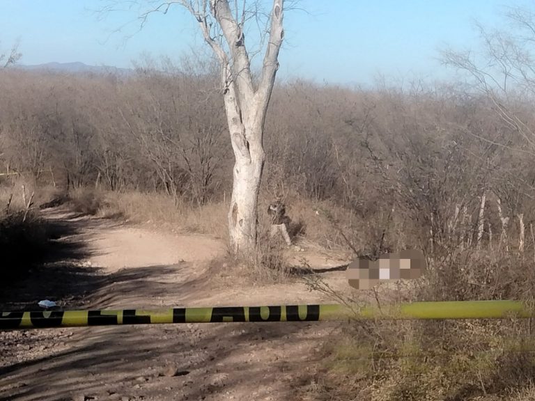 Atado de pies y manos, un cadáver al norte de Culiacán