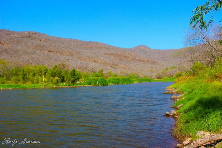 Analiza Japan abatir sequía en ‘El Tigre’ con pozo