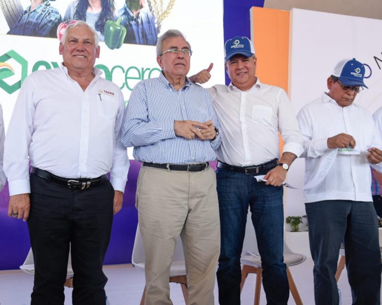 Anuncian Vargas y Rocha rehabilitación de drenajes pluviales de Los Mochis