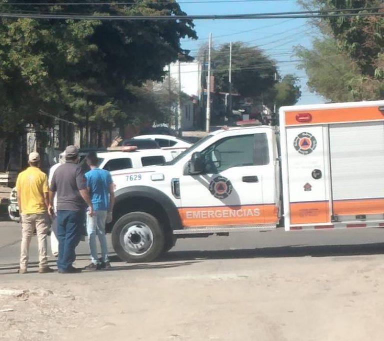 Ataque de abejas deja 7 heridos en Culiacán