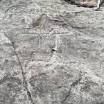 Screenshot_20220321_163953