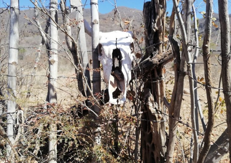 Entraría en mayo rebombeo de agua por escasez en ‘El Tigre’