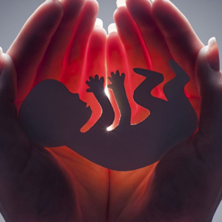 Entran ONG´s en Sinaloa en fase crítica en lucha antiaborto