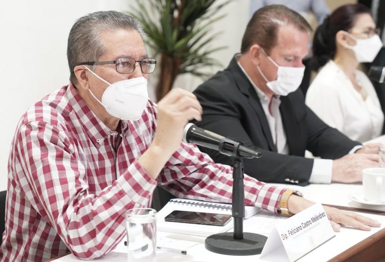 El pueblo pone, el pueblo quita, diputados a Estrada por juicio