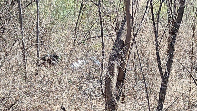 Tenía dos días de muerto; vivía en una ramada