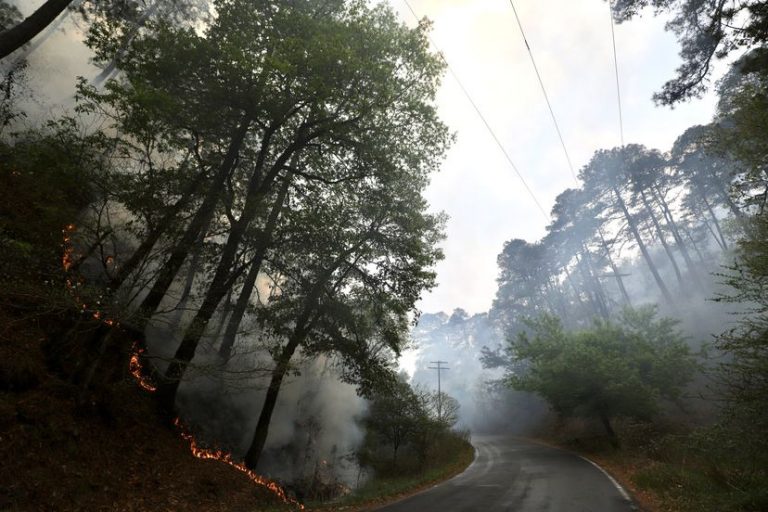 Nuevo León bombardea las nubes para frenar un incendio en la sierra de Santiago