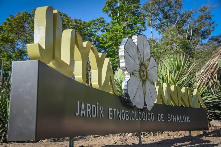 Juyya Ánnia, es el jardín mayo-yoreme en el parque Sinaloa