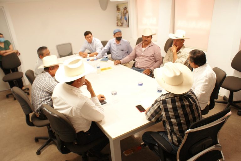 Plantean ganaderos de Navolato rastro calidad TIF