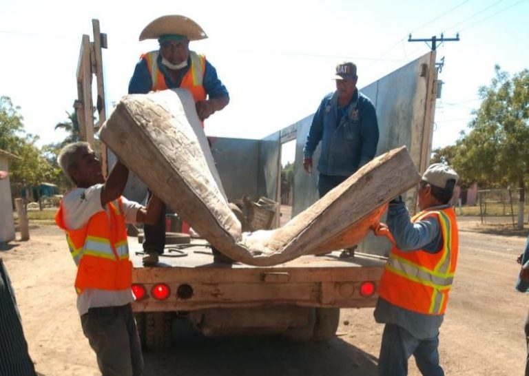 Arranca Navolato campaña contra el mosco