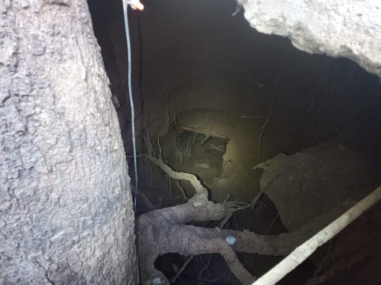 Con 3 metros de profundidad socavón en narcotunel