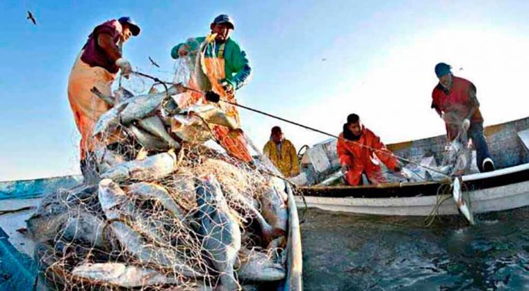 Convocan diputados a foro abierto sobre pesca