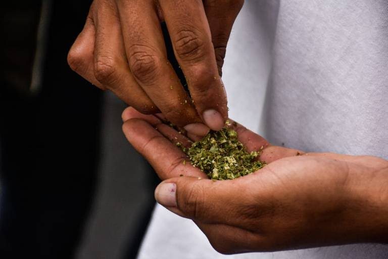 Permite Corte portar más de 5 gramos de mariguana