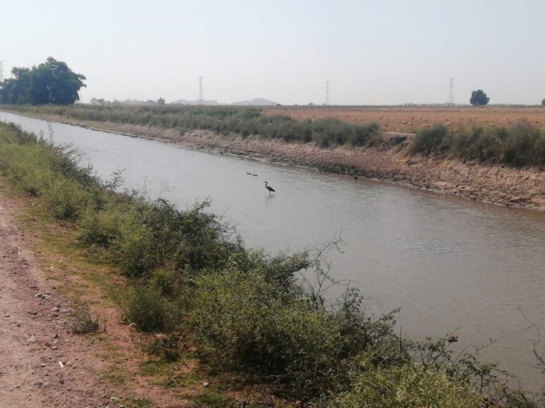 Restablece Japama servicio de agua en Vallejo, Goros y San Miguel