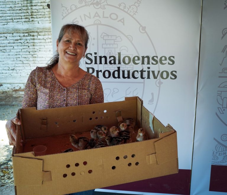 Entregan pacas y pollos de engorda por sequía