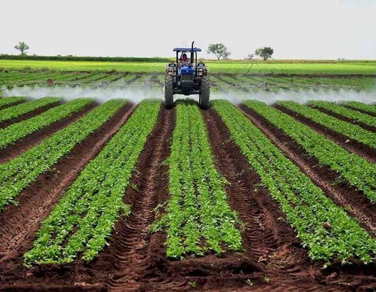 Privilegia Rocha presupuesto 2024 en agro, UAS, agua…