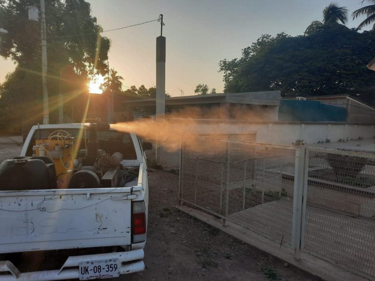 Confirma Navolato 15 casos de dengue