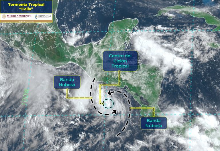 Se forma la tormenta tropical Celia en el Pacífico