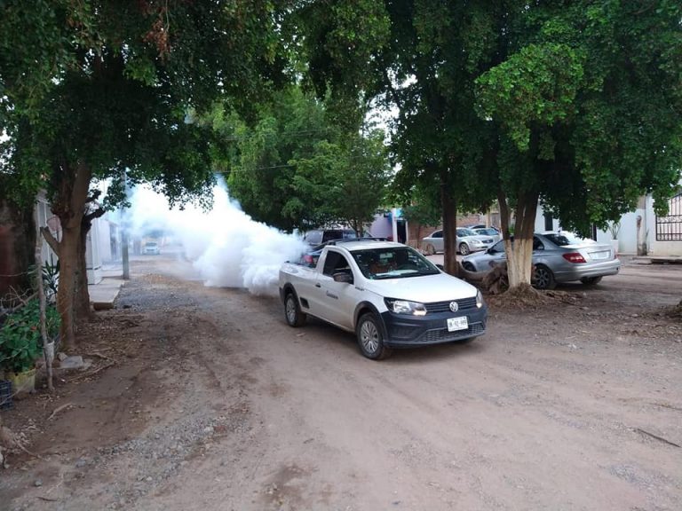 Teme Guasave brote de dengue tras intensas lluvias