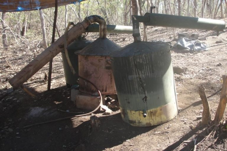 Localizan tres laboratorios clandestinos en Sinaloa