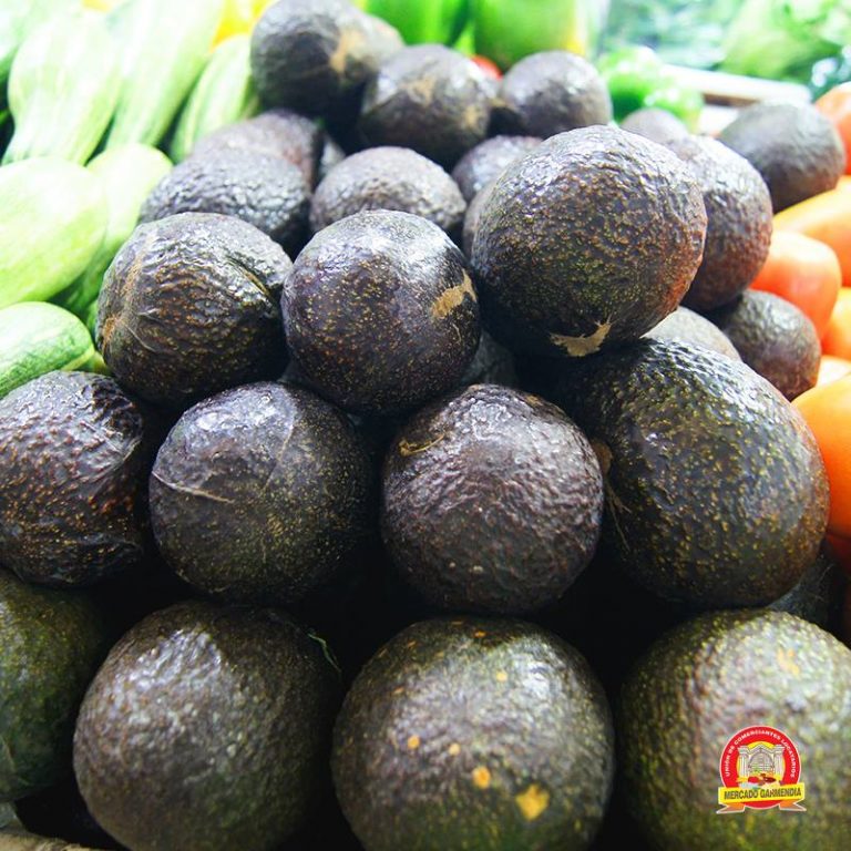 El aguacate en los 95 pesos… y sigue ahuyentado consumidores