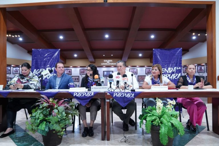 Arman 3 niveles de gobierno Agenda Púrpura por mujeres