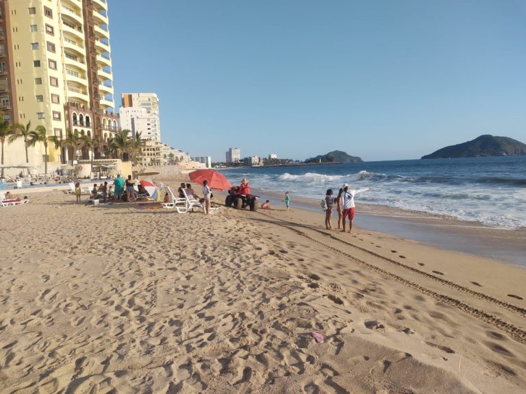 Detectan un cocodrilo en playa Cerritos, Mazatlán