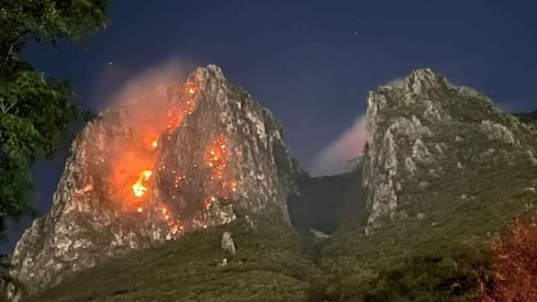 Controlan incendio en Cerro de la Silla