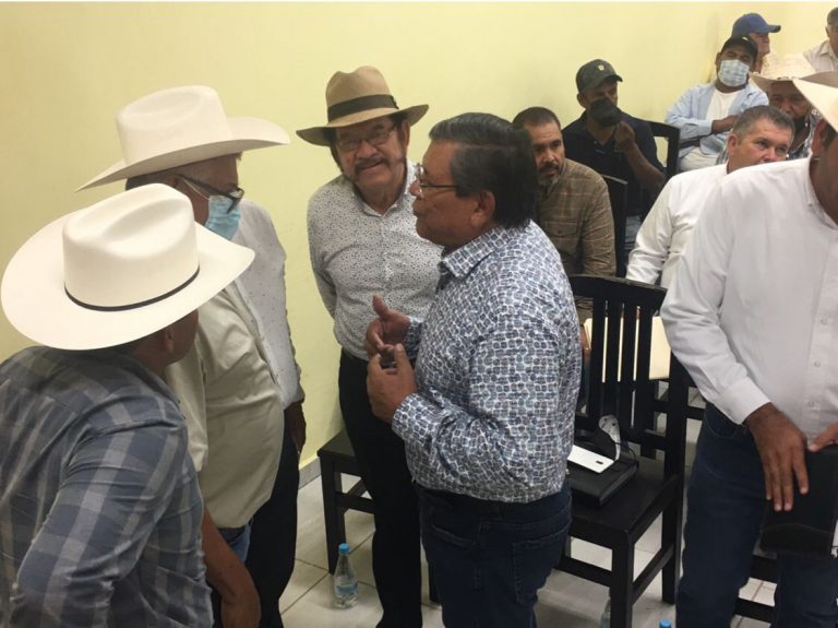 Acuerdan plan de atención al problema del mango