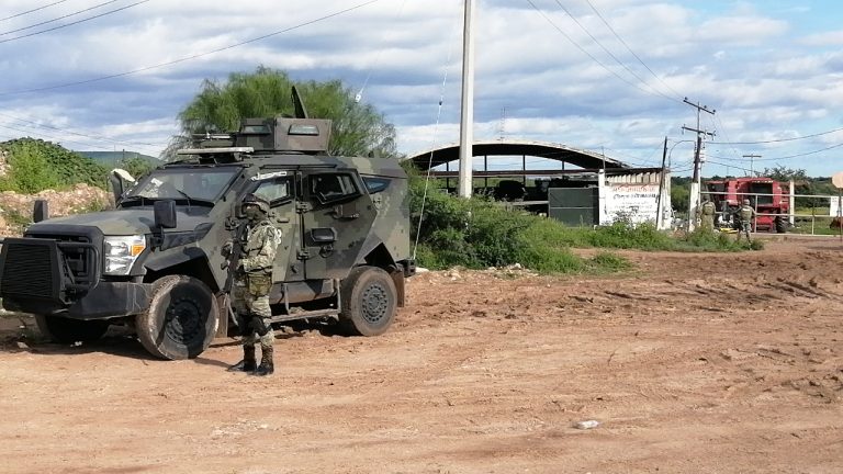 Capturan a un hijo de Guadalupe Tapia, líder del cártel de Sinaloa