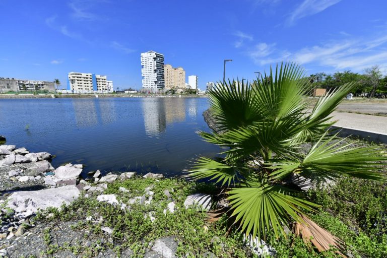 Construirán en Mazatlán 14 nuevos hoteles