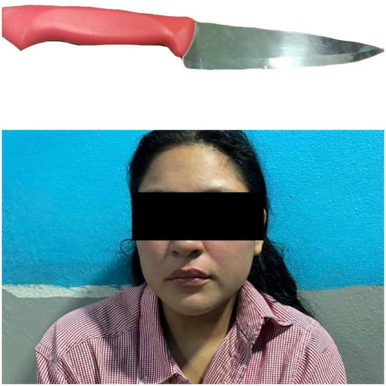 Discutió con el marido y agredió a uno de sus hijos