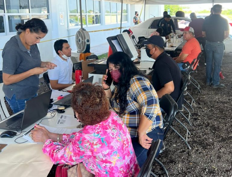 Últimas citas para autos ‘chocolate’