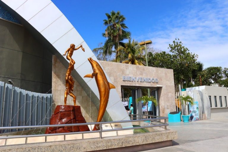 Celebra Acuario Mazatlán 42 aniversario