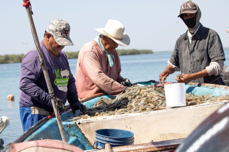 Darán por vez primera Bienpesca a mujeres empacadoras