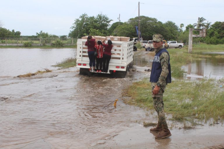 Sufre Dautillos plaga de moscos tras inundación