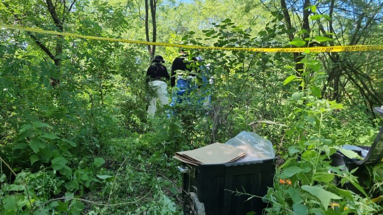 Reportan hallazgo múltiple de huesos humanos