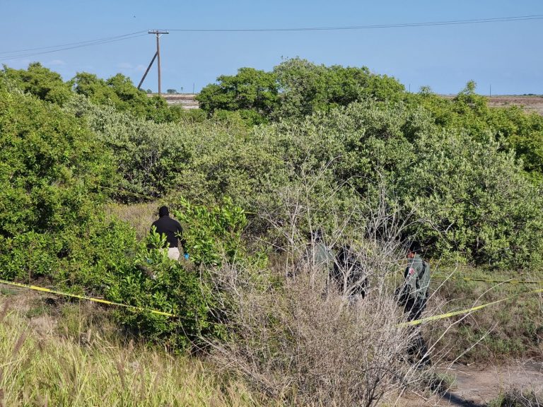 Encuentran cadáver por la carretera Navolato-Altata
