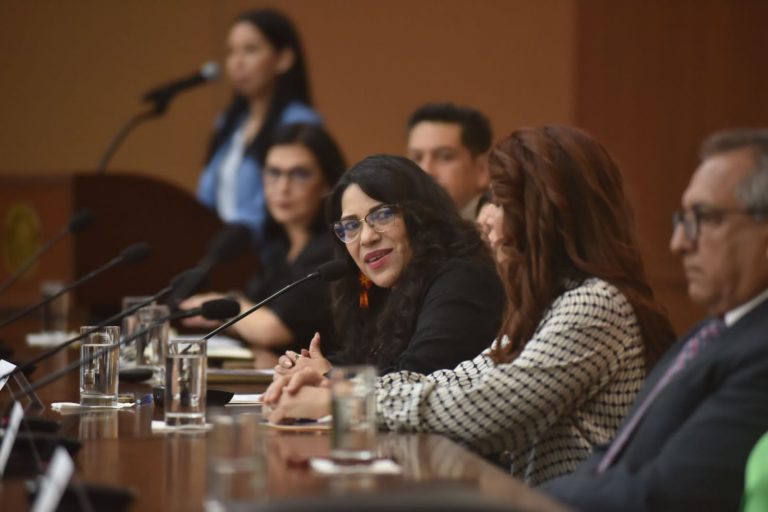 Sugiere diputada armonizar leyes para evitar muertes de tránsito