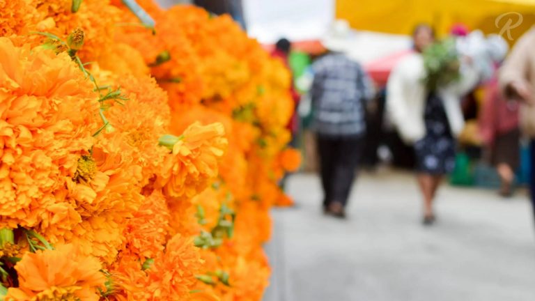 Estos son los precios oficiales de flores para Día de Muertos