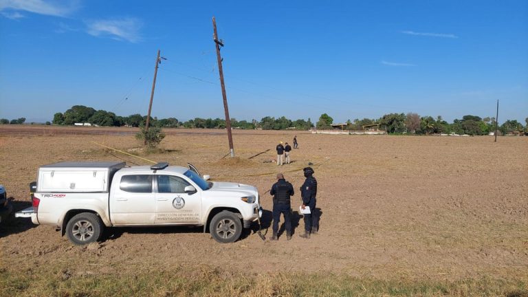 Fallece por descarga eléctrica en una parcela de Navolato