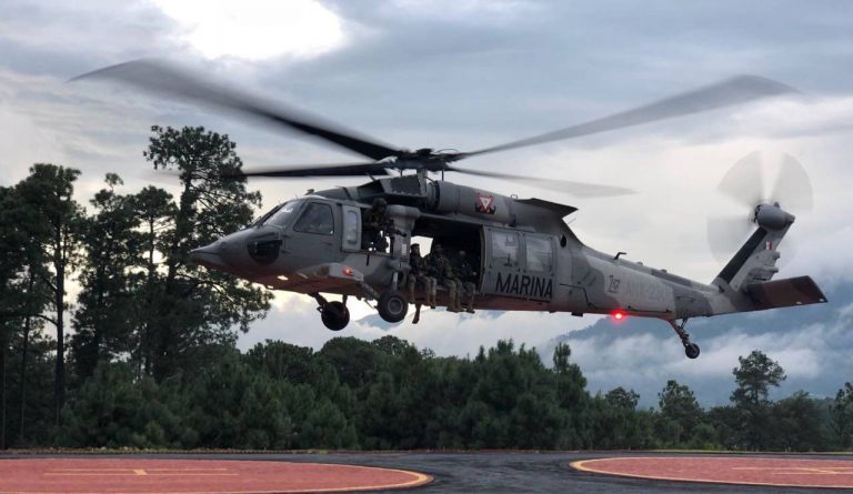 Marina se hará cargo hasta de la migración en AICM