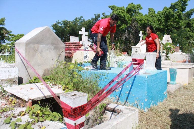 Hallan en revisión a panteones enjambres de abejas